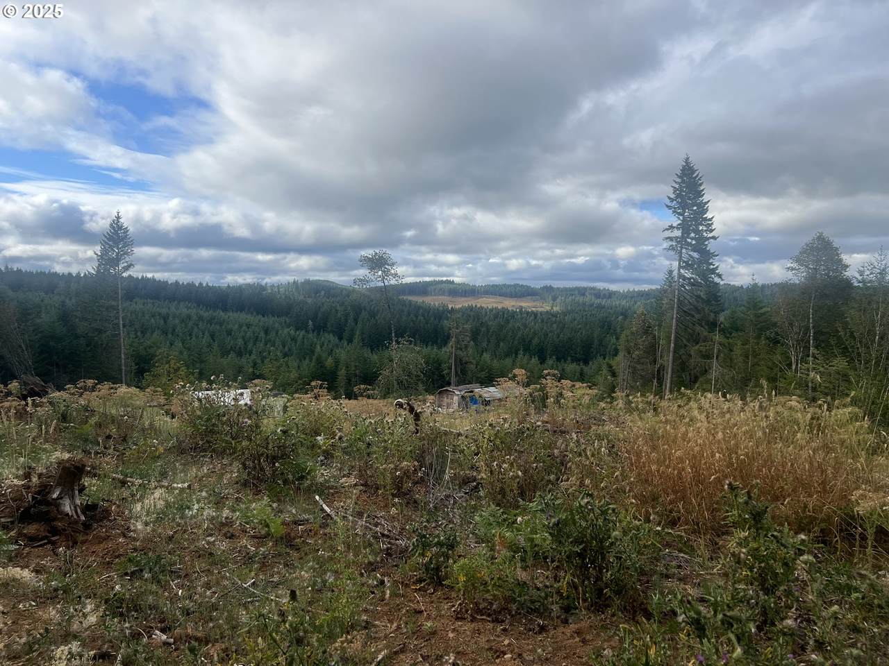 89975 Sheffler Rd - Photo 1