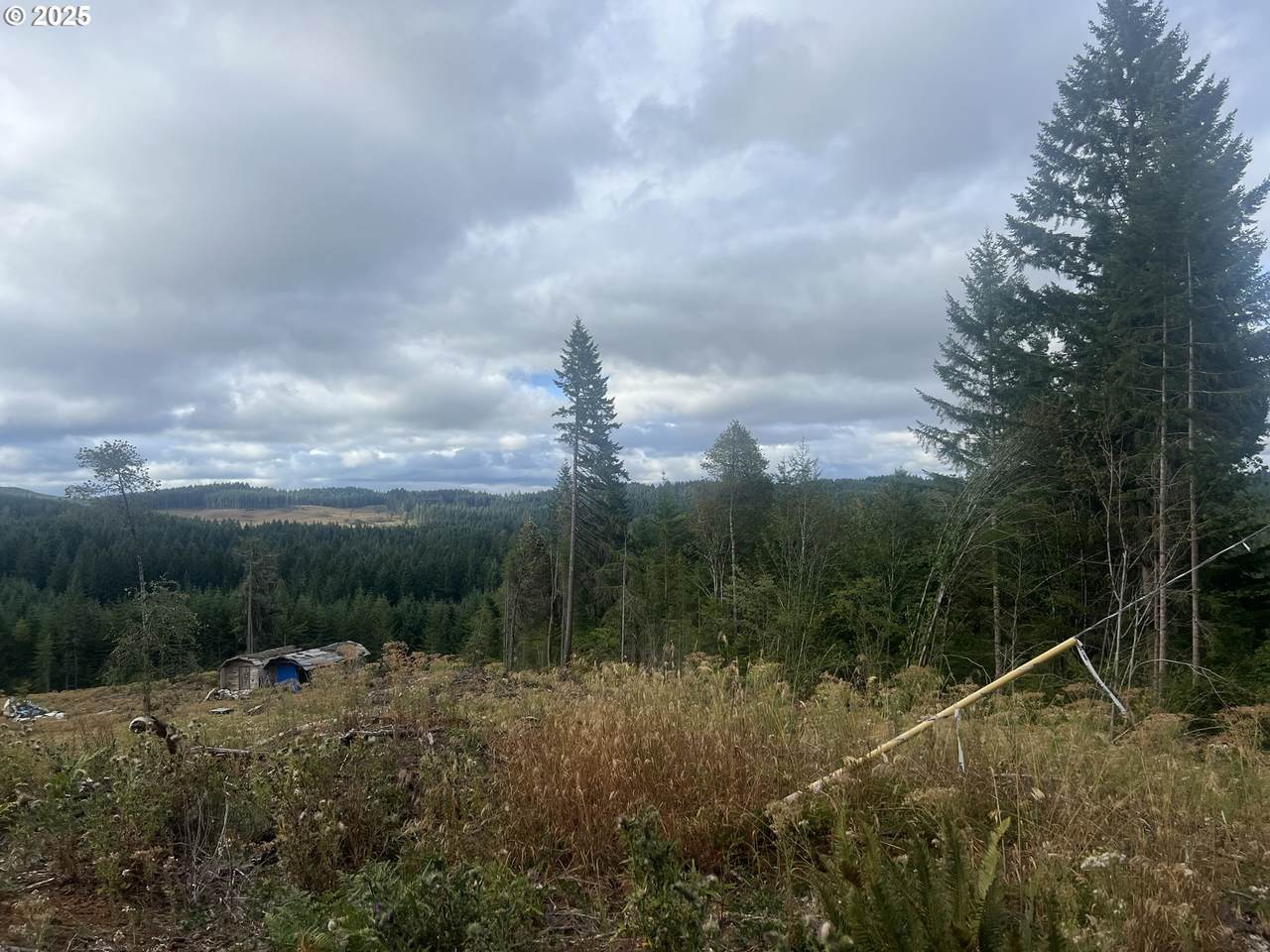 https://bt-photos.global.ssl.fastly.net/portland/1280_boomver_3_213635758-2.jpg