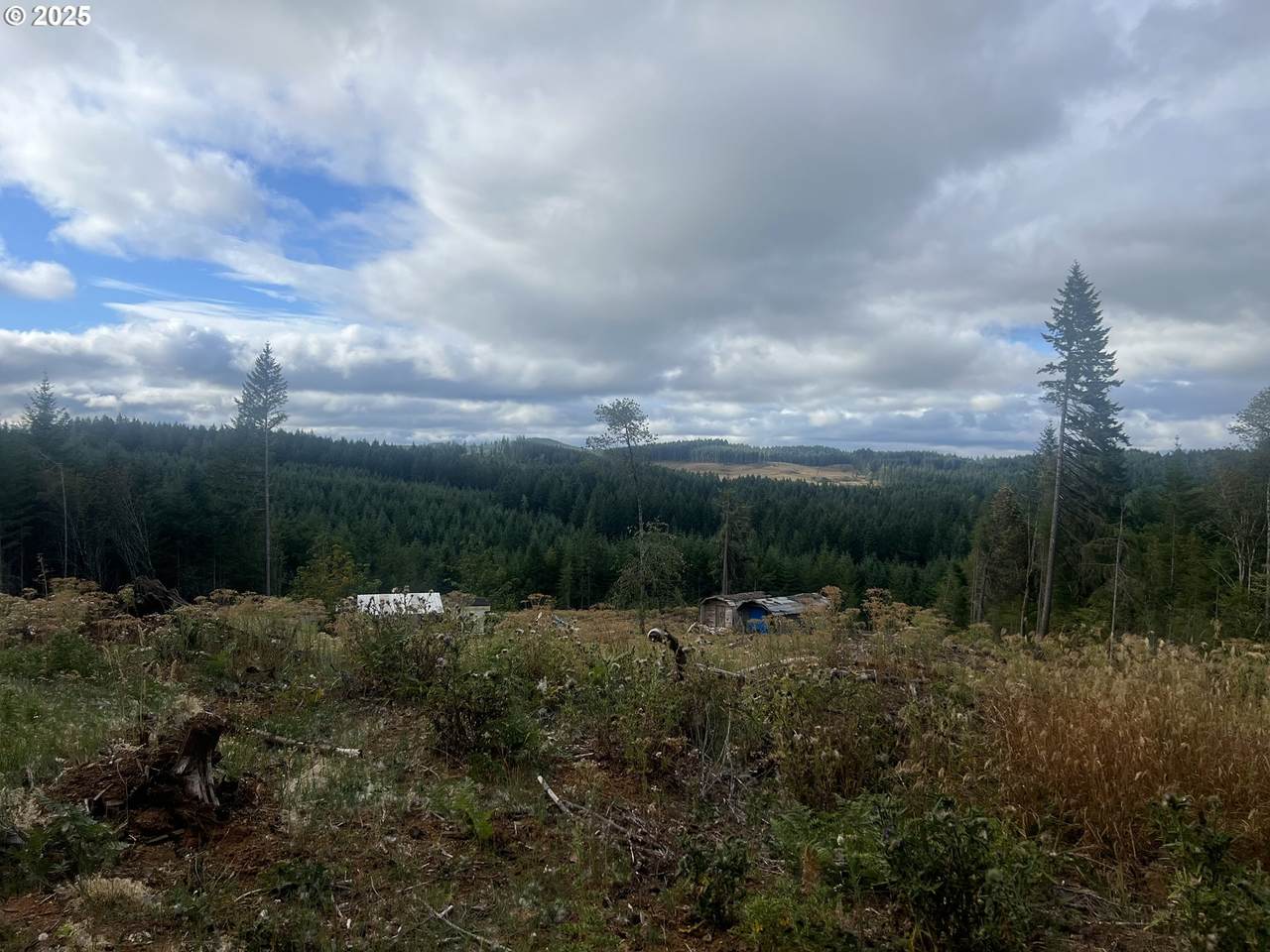 https://bt-photos.global.ssl.fastly.net/portland/1280_boomver_3_213635758-2.jpg