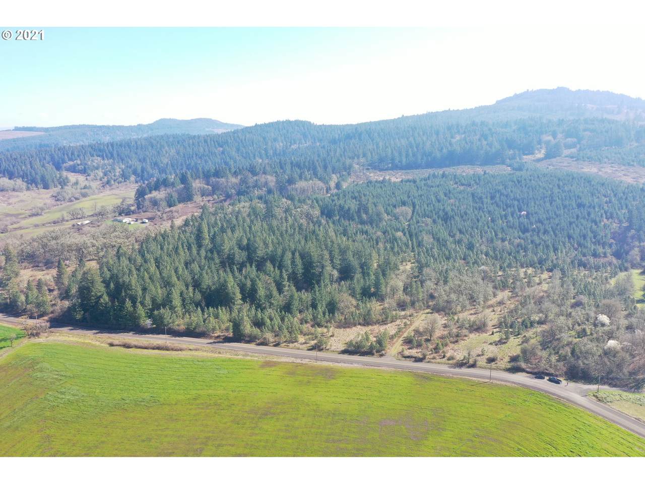 Brownsville Rd - Photo 1