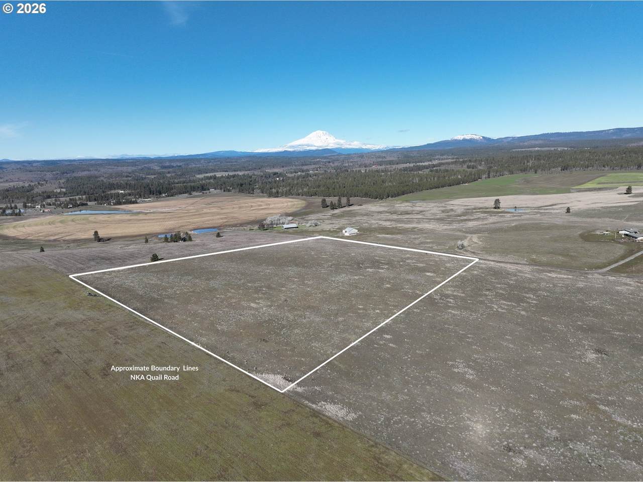  Quail Rd - Photo 1