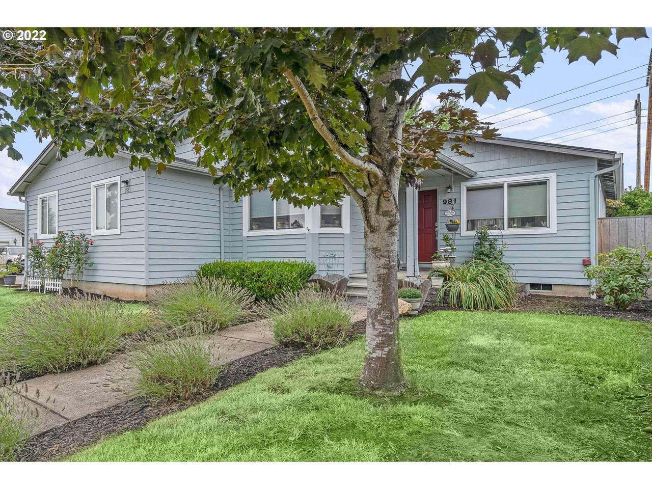 981 Echo Hollow Rd - Photo 1