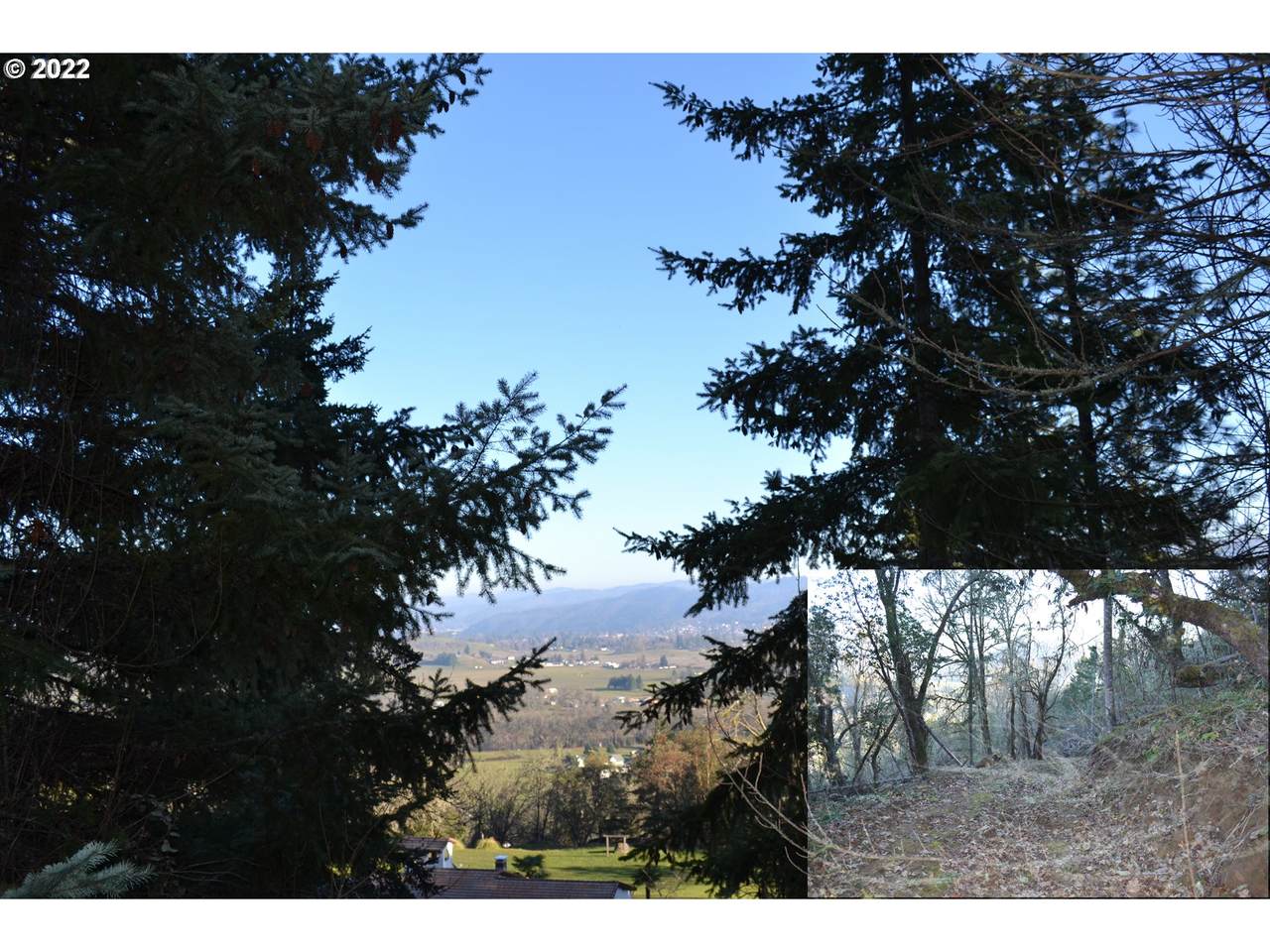 Black Oak Dr - Photo 1