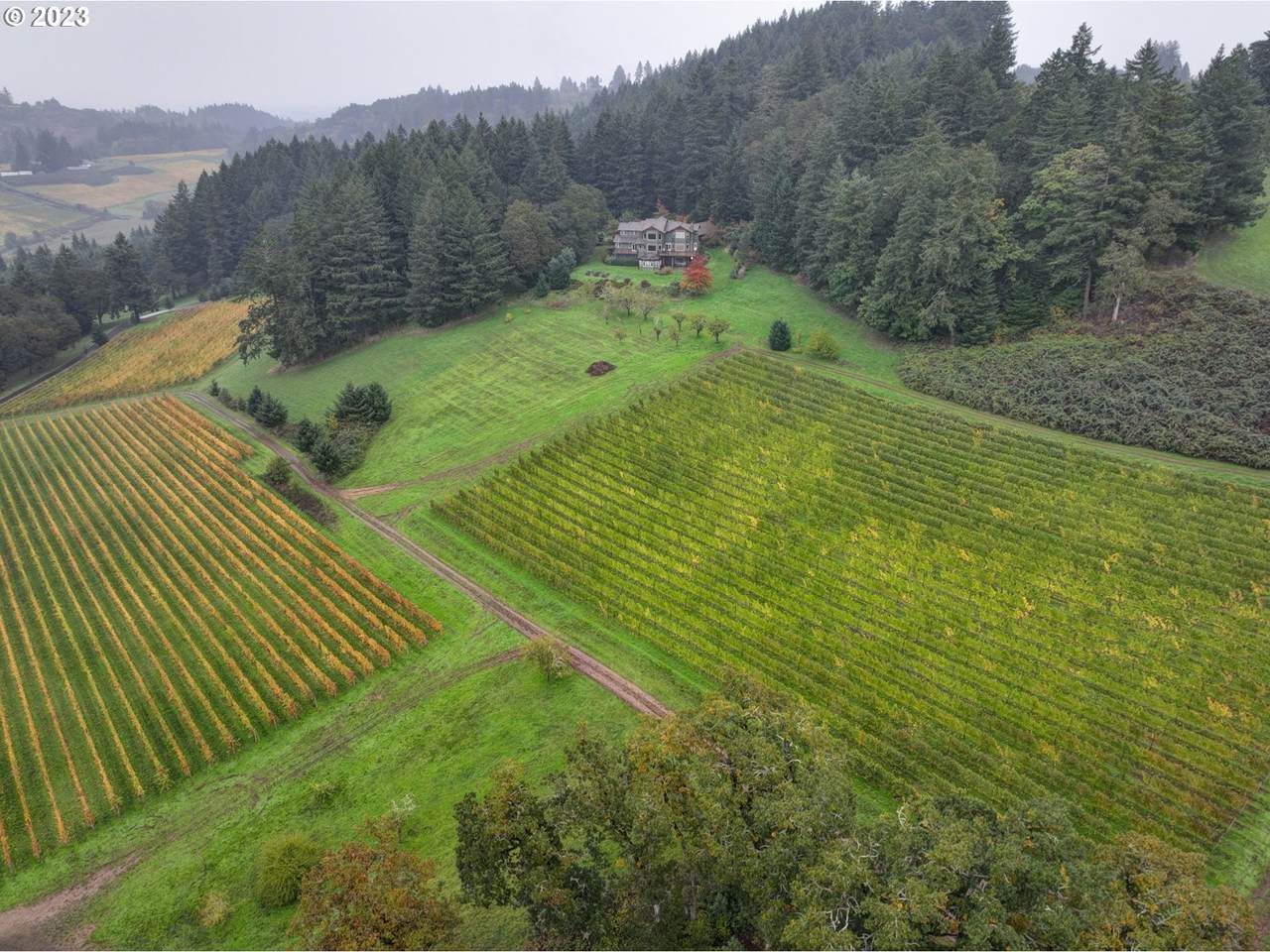 7820 Amity Rd - Photo 1