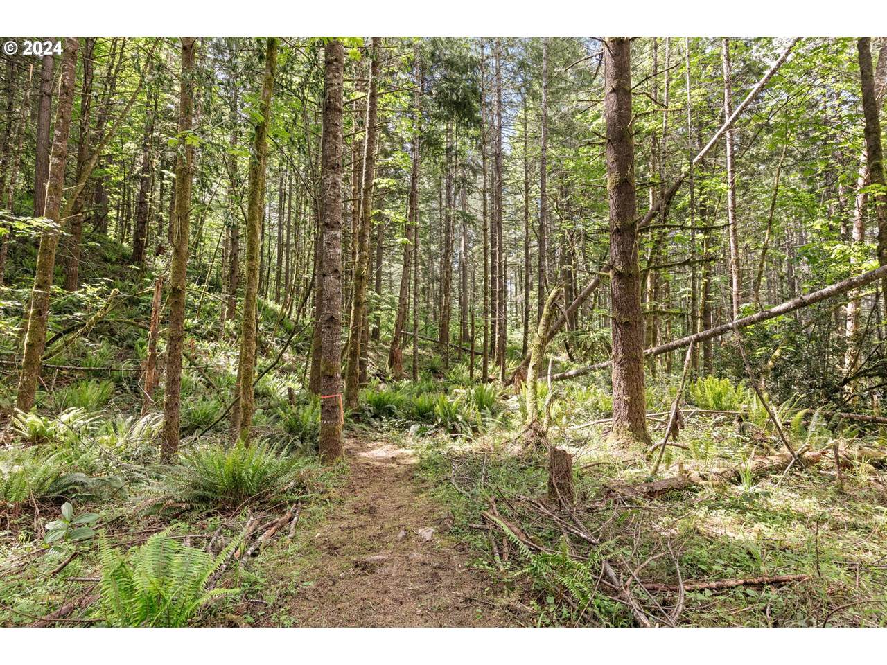 0 Tonga Lane - Photo 1