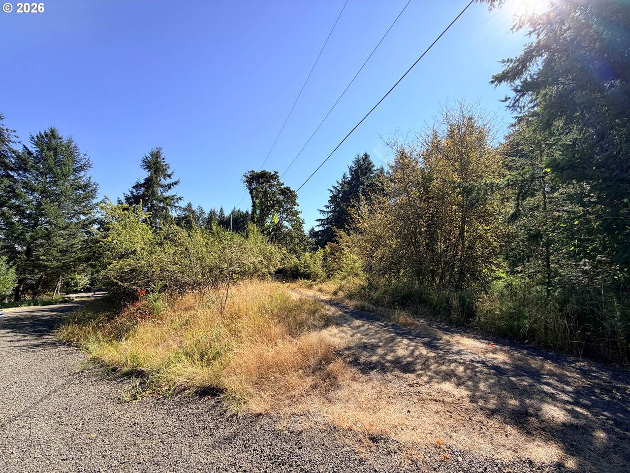 0 Carol Dr - Photo 1
