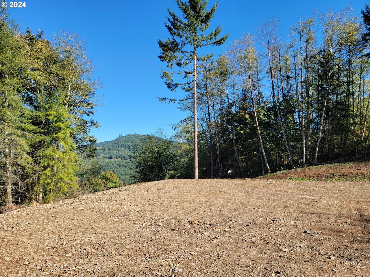 522 Remington Dr - Photo 1