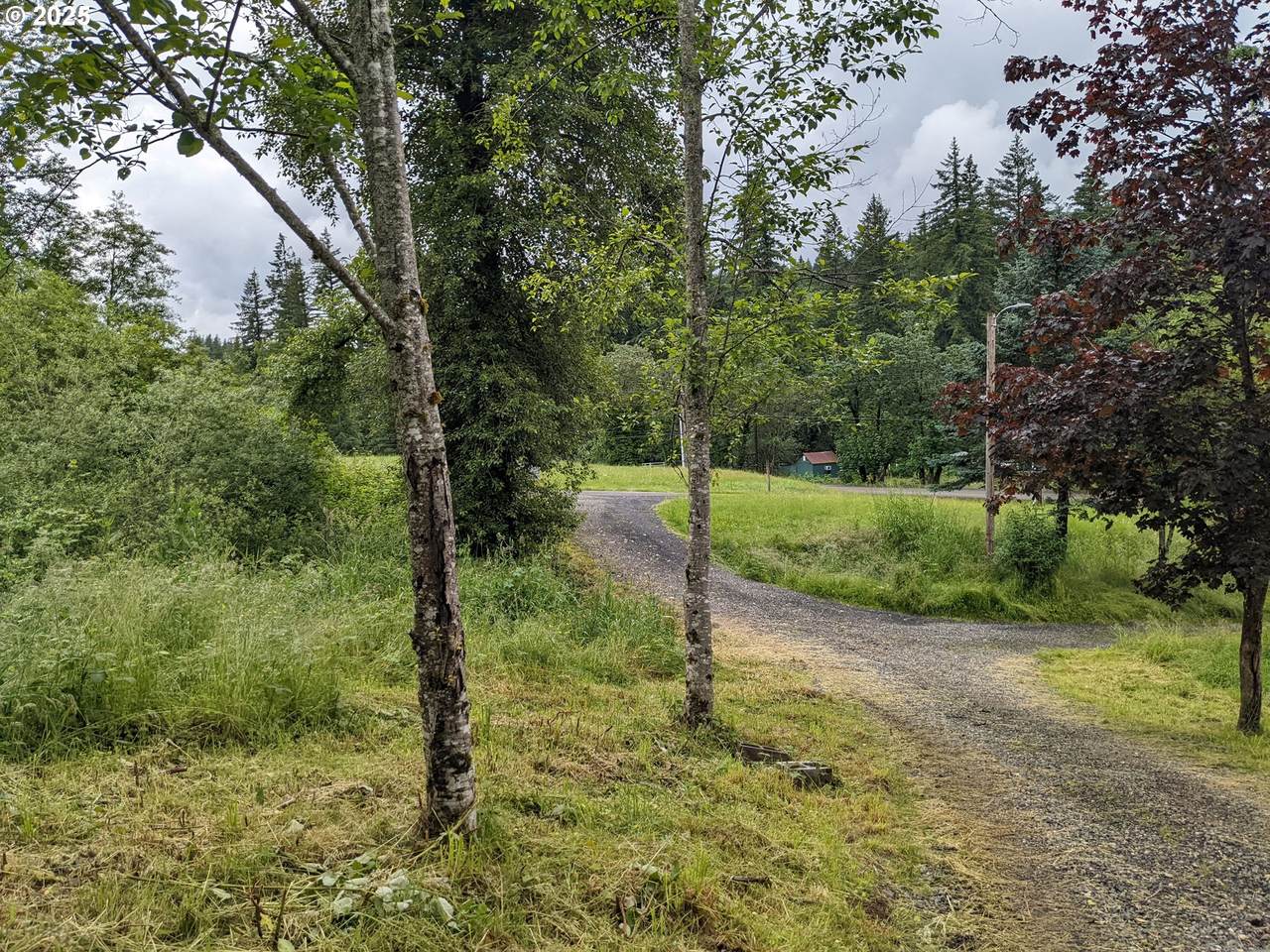 0 Washougal River Rd - Photo 1