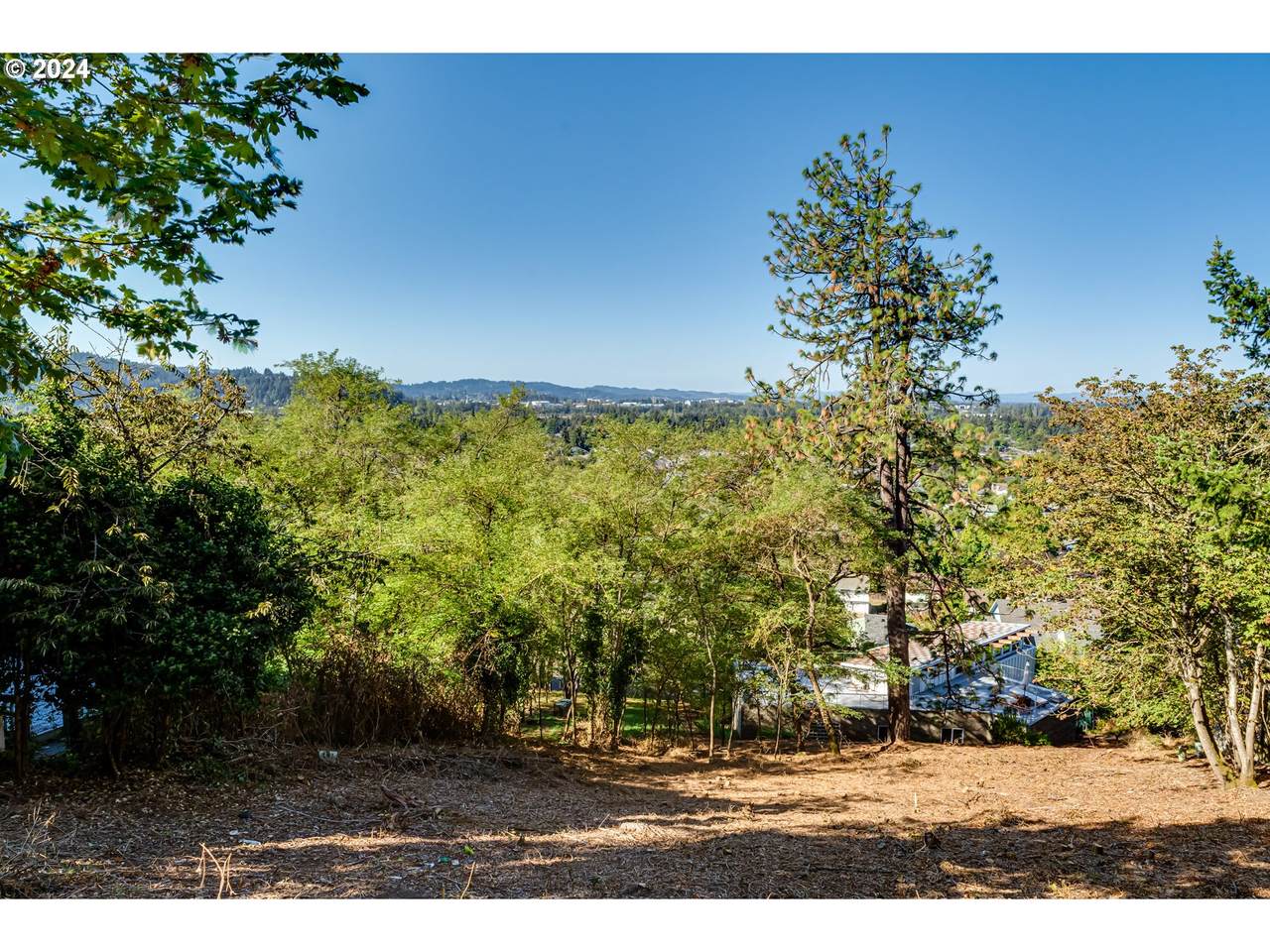  Summit Blvd - Photo 1