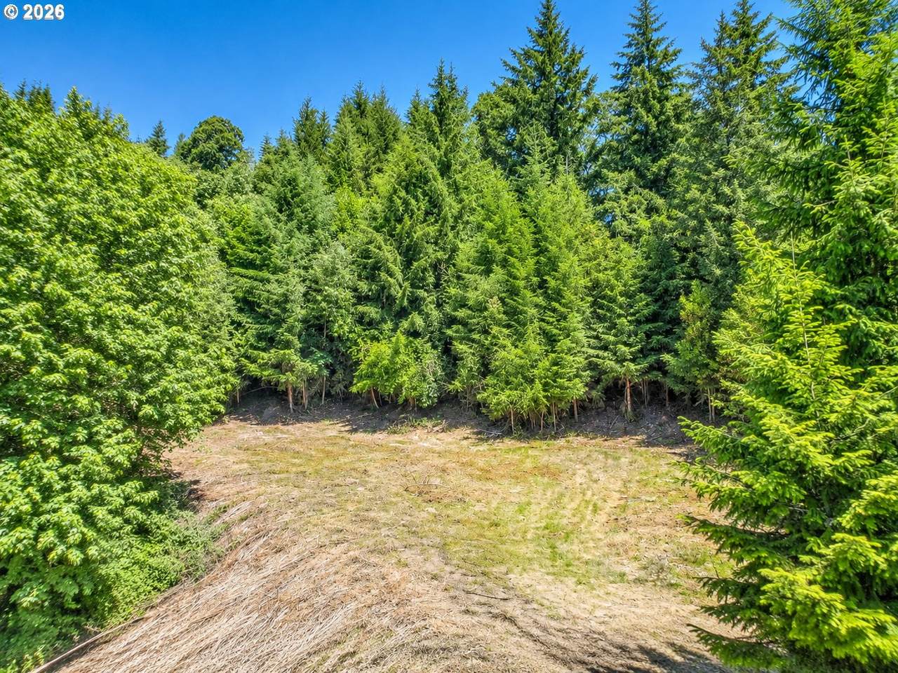 0 Columbia View Dr - Photo 1