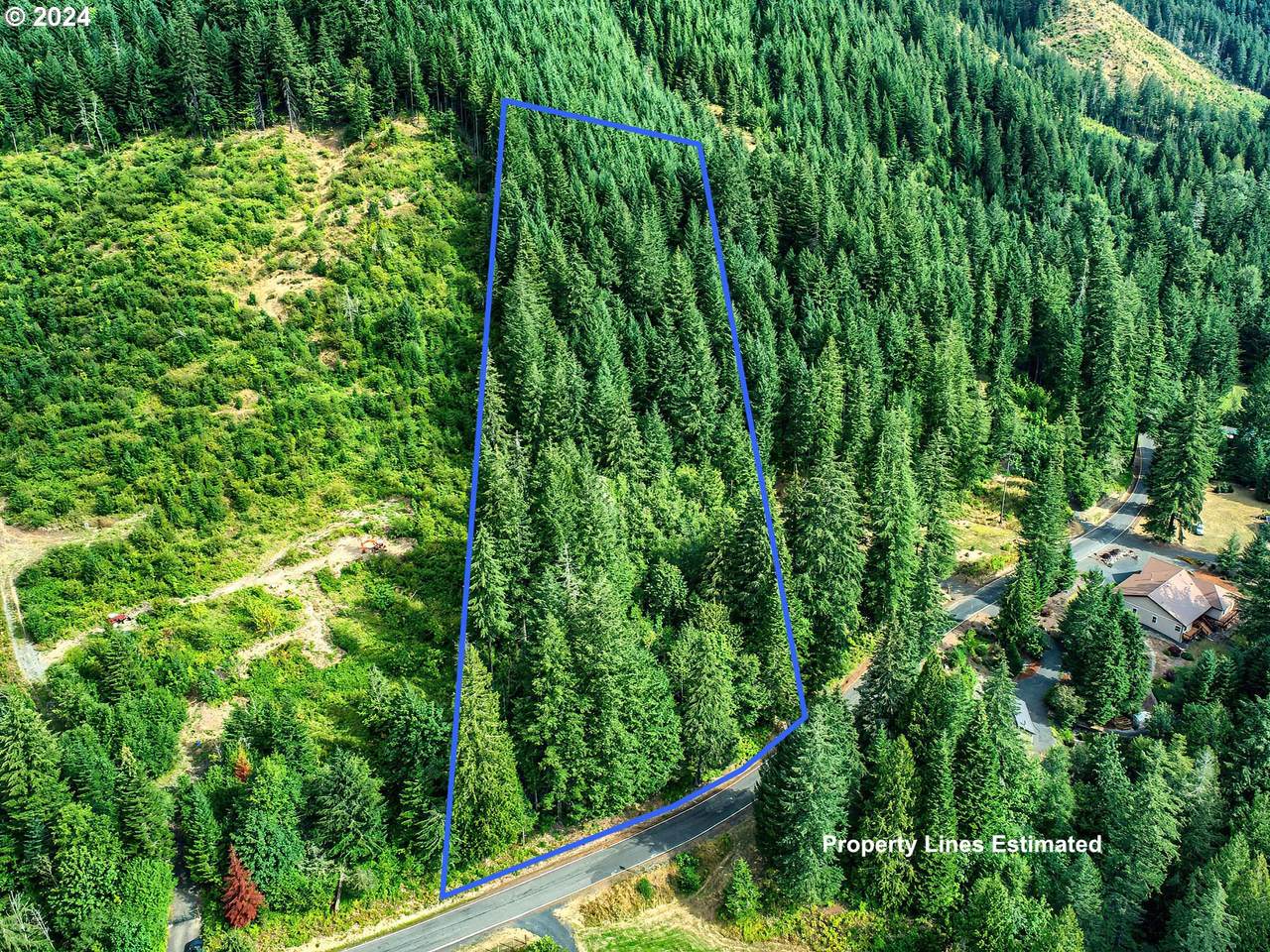 Bear Creek Rd - Photo 1