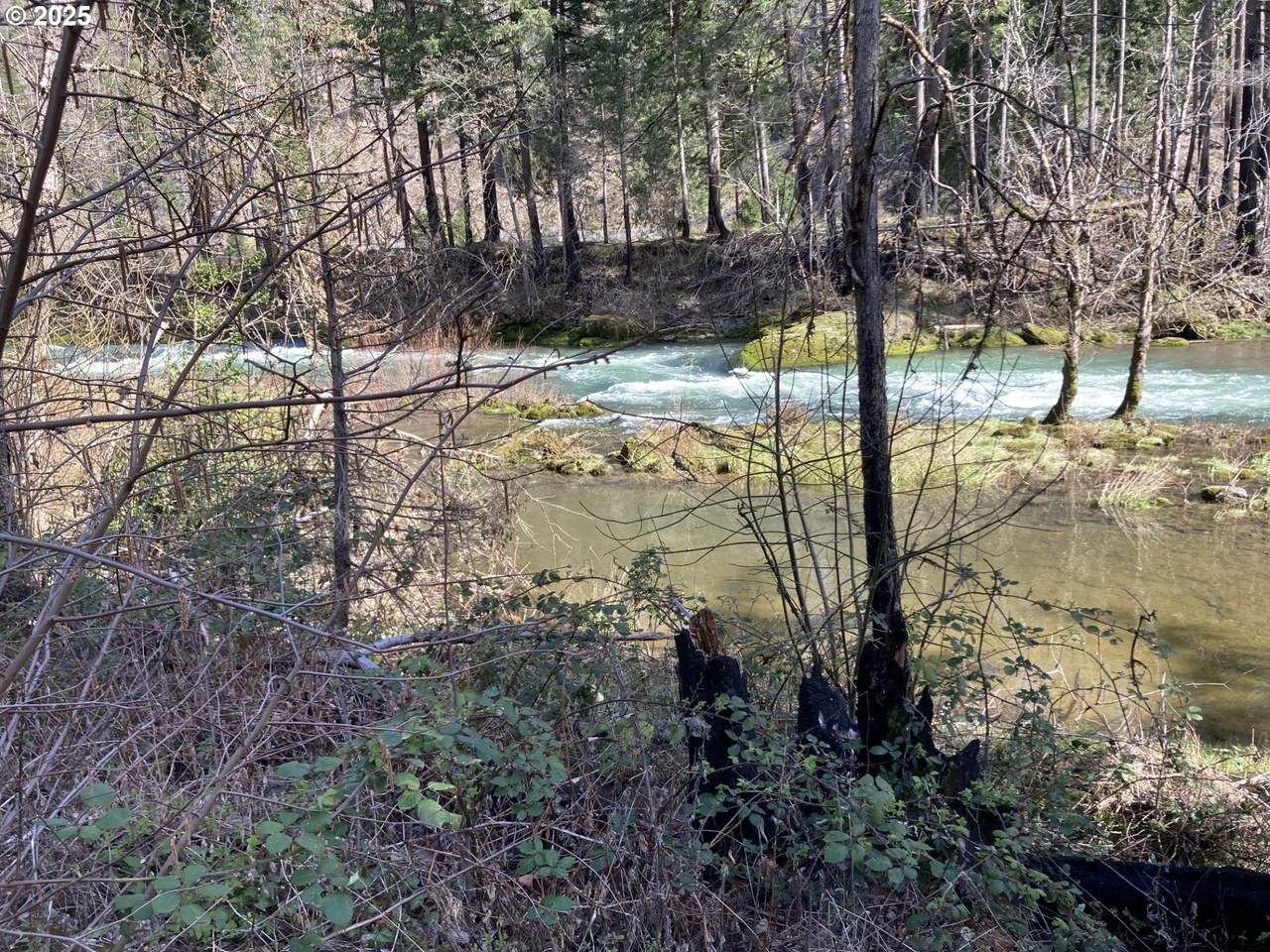 91303 Blue River Rd - Photo 1