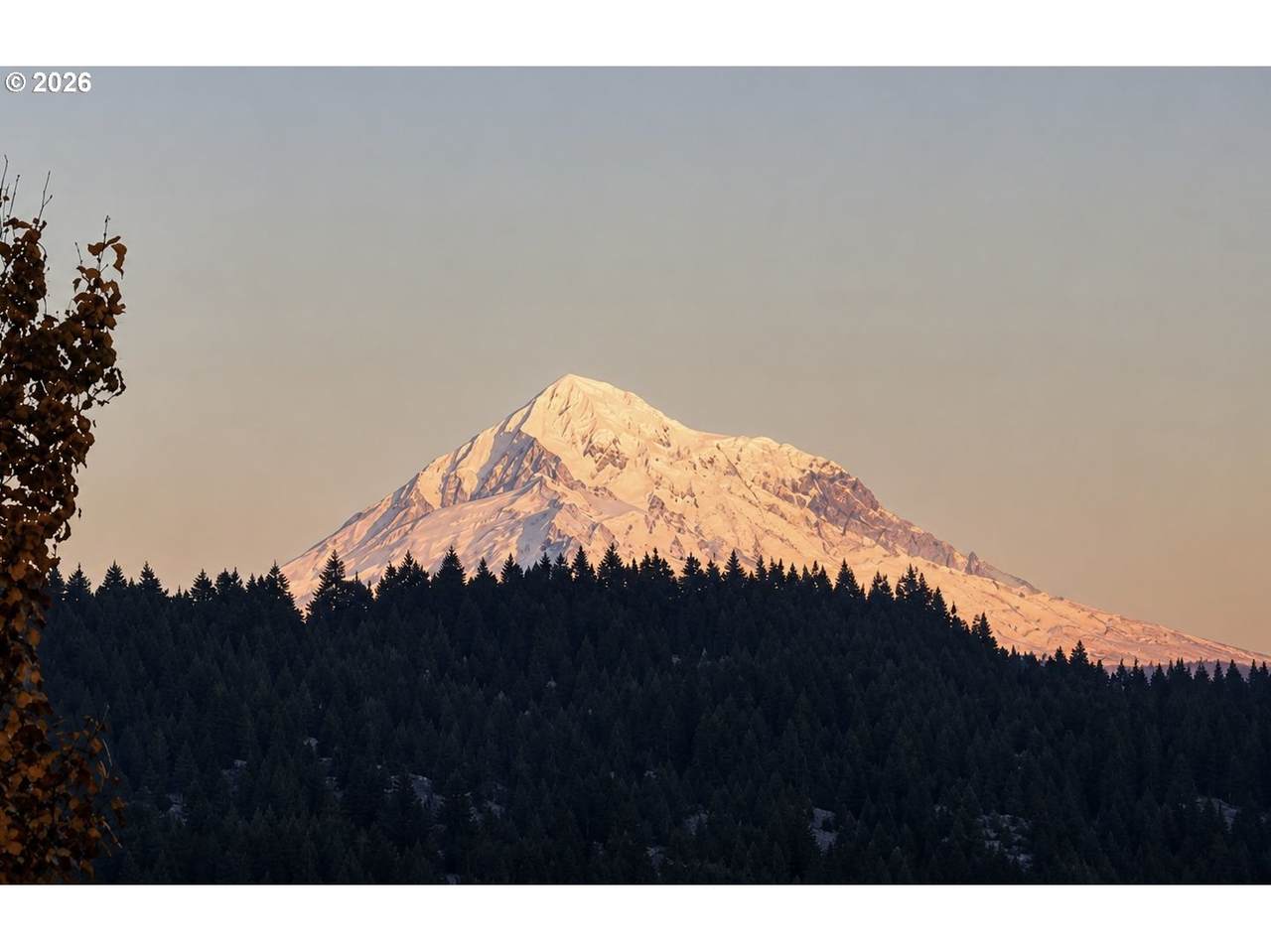 https://bt-photos.global.ssl.fastly.net/portland/1280_boomver_3_504711231-2.jpg