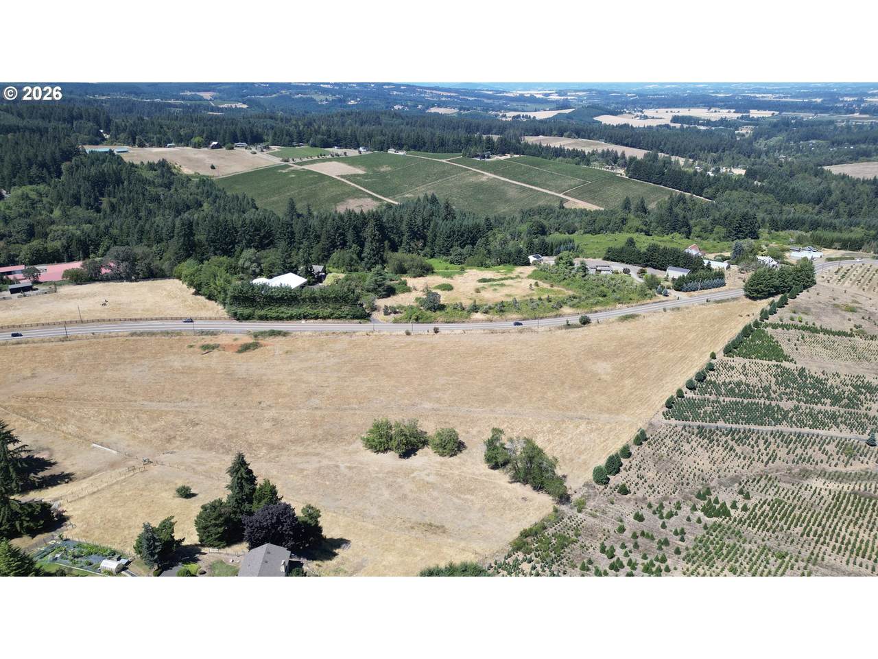 0 Hillsboro Hwy - Photo 1