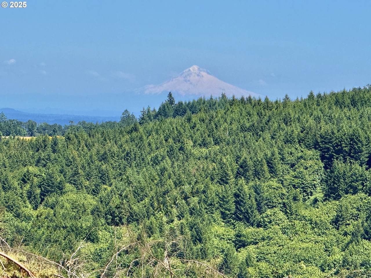 https://bt-photos.global.ssl.fastly.net/portland/1280_boomver_3_598543202-2.jpg