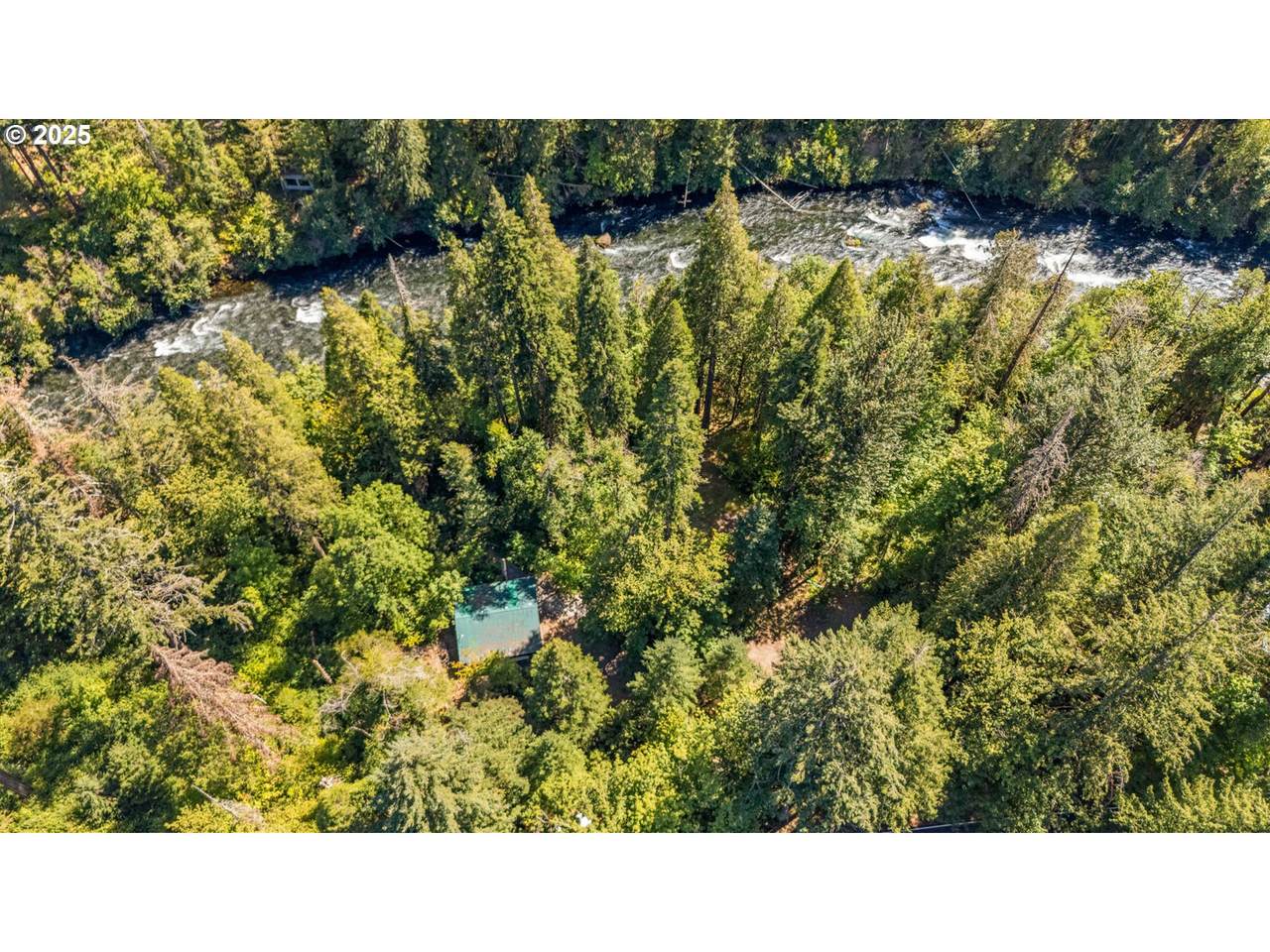  Mckenzie River Dr - Photo 1