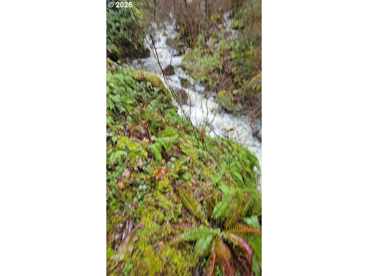 https://bt-photos.global.ssl.fastly.net/portland/1280_boomver_1_635193801-2.jpg