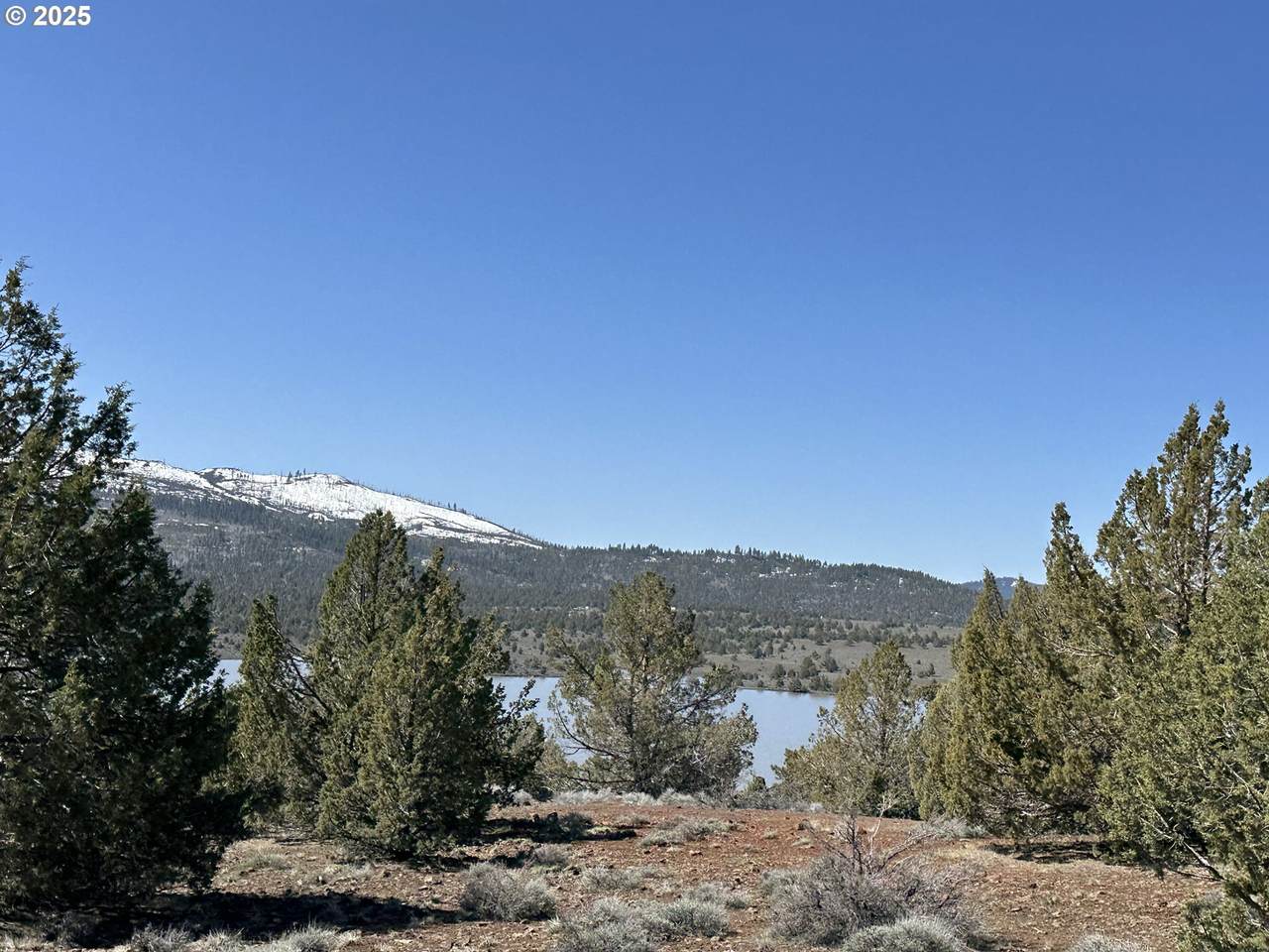  Cyhoya Way - Photo 1