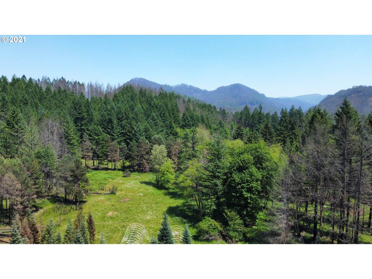 49425 Mckenzie Hwy - Photo 1
