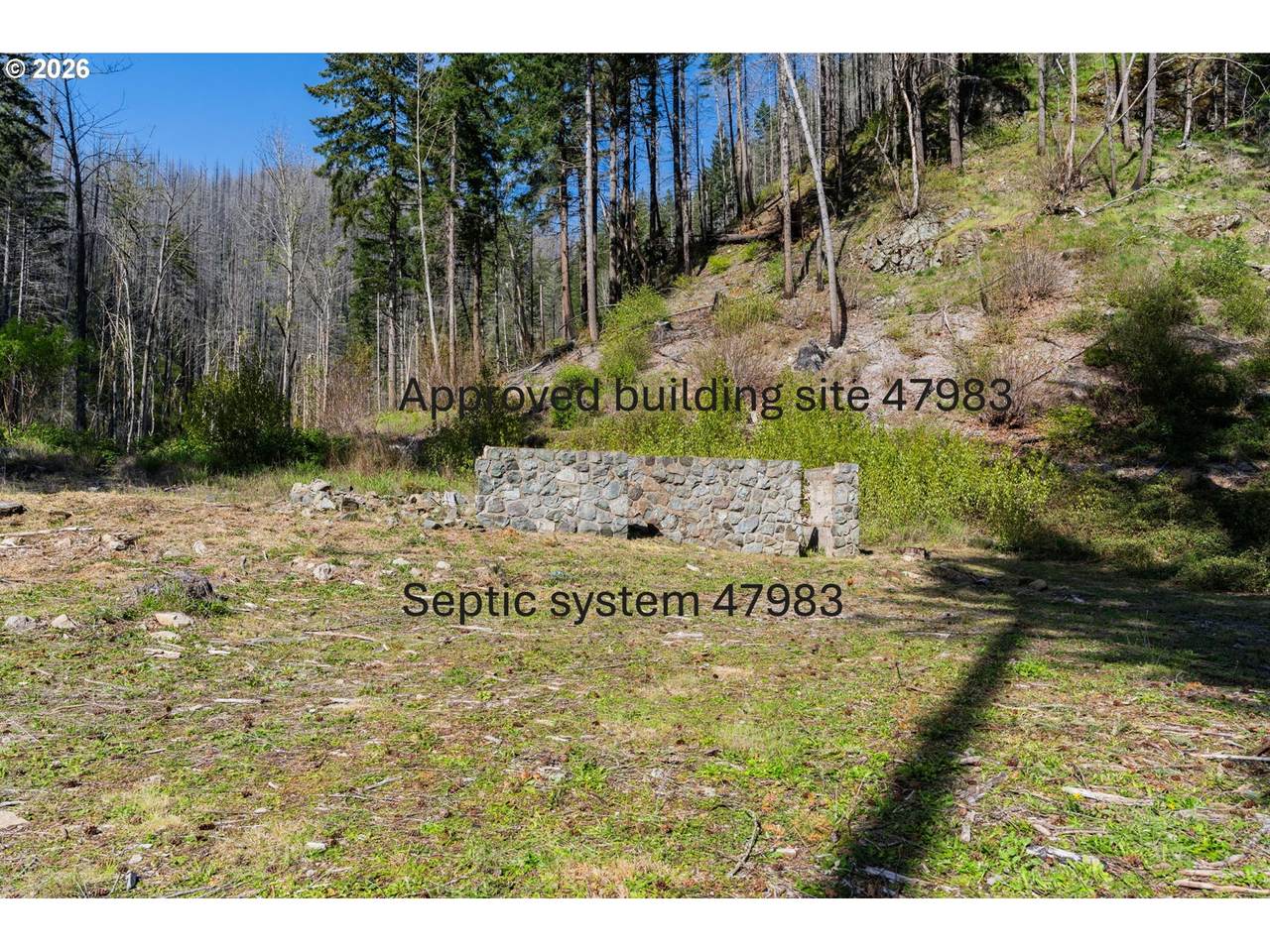 47983 Mckenzie Hwy - Photo 1