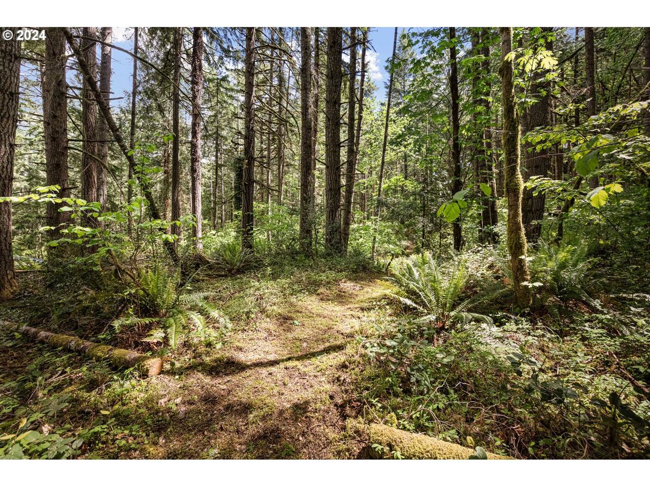 https://bt-photos.global.ssl.fastly.net/portland/1280_boomver_4_23386802-2.jpg
