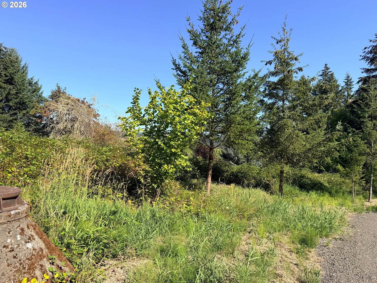 0 Carol Dr - Photo 1