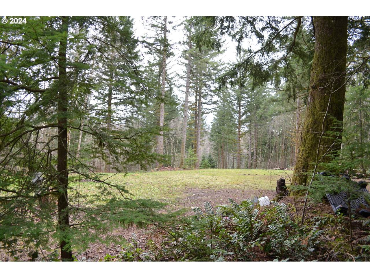 https://bt-photos.global.ssl.fastly.net/portland/1280_boomver_4_24046957-2.jpg