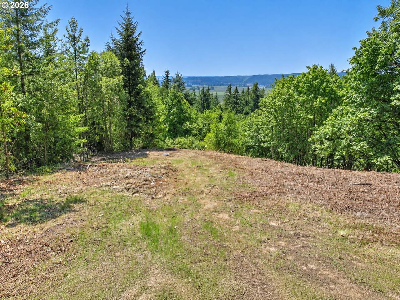 https://bt-photos.global.ssl.fastly.net/portland/1280_boomver_3_24267043-2.jpg