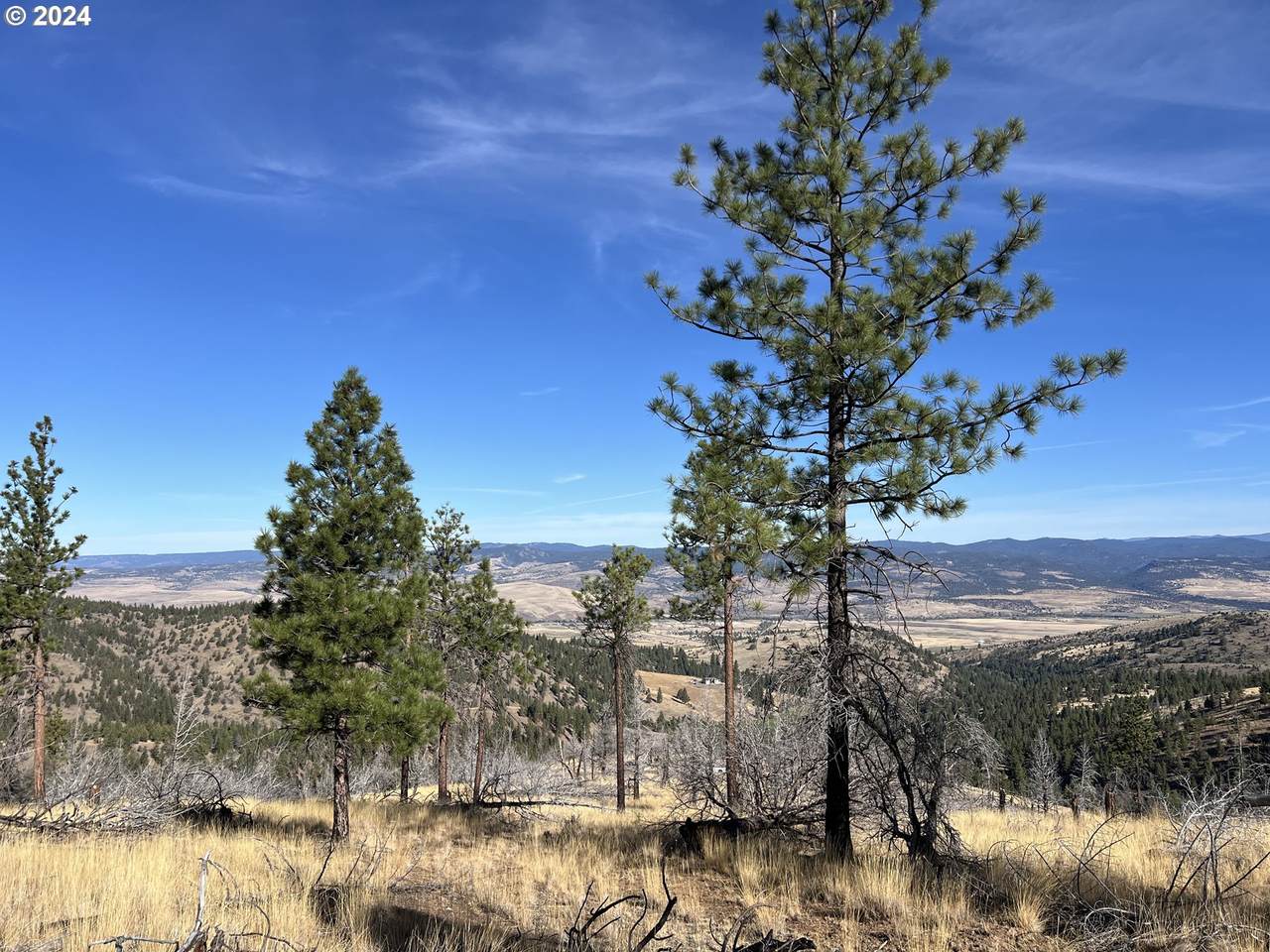 https://bt-photos.global.ssl.fastly.net/portland/1280_boomver_4_24463382-2.jpg