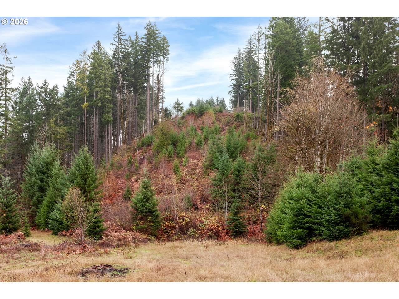 https://bt-photos.global.ssl.fastly.net/portland/1280_boomver_4_24656202-2.jpg