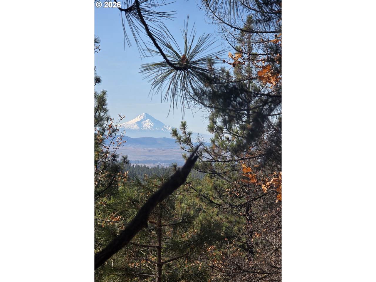 https://bt-photos.global.ssl.fastly.net/portland/1280_boomver_4_314786640-2.jpg