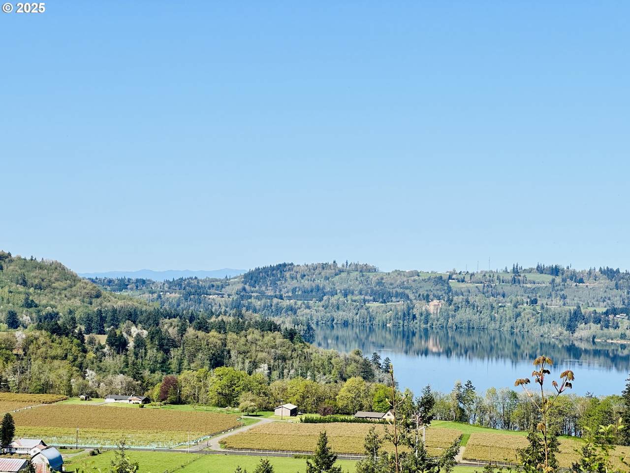 295 Degoede Dr - Photo 1