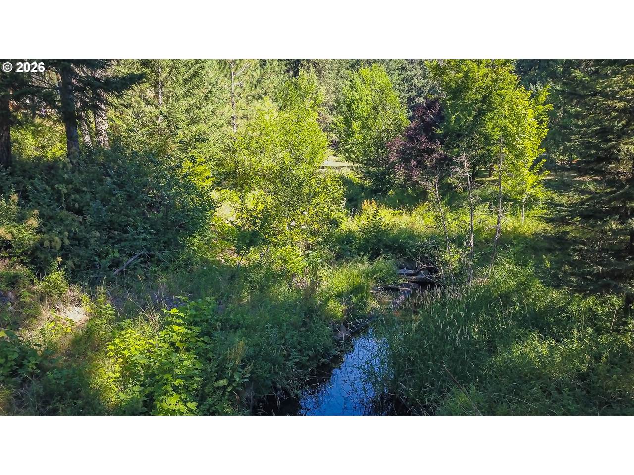 748 Cedar Valley Rd - Photo 1