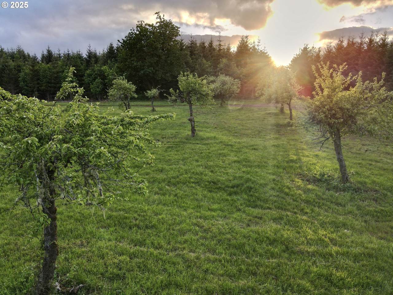 https://bt-photos.global.ssl.fastly.net/portland/1280_boomver_4_357386112-2.jpg