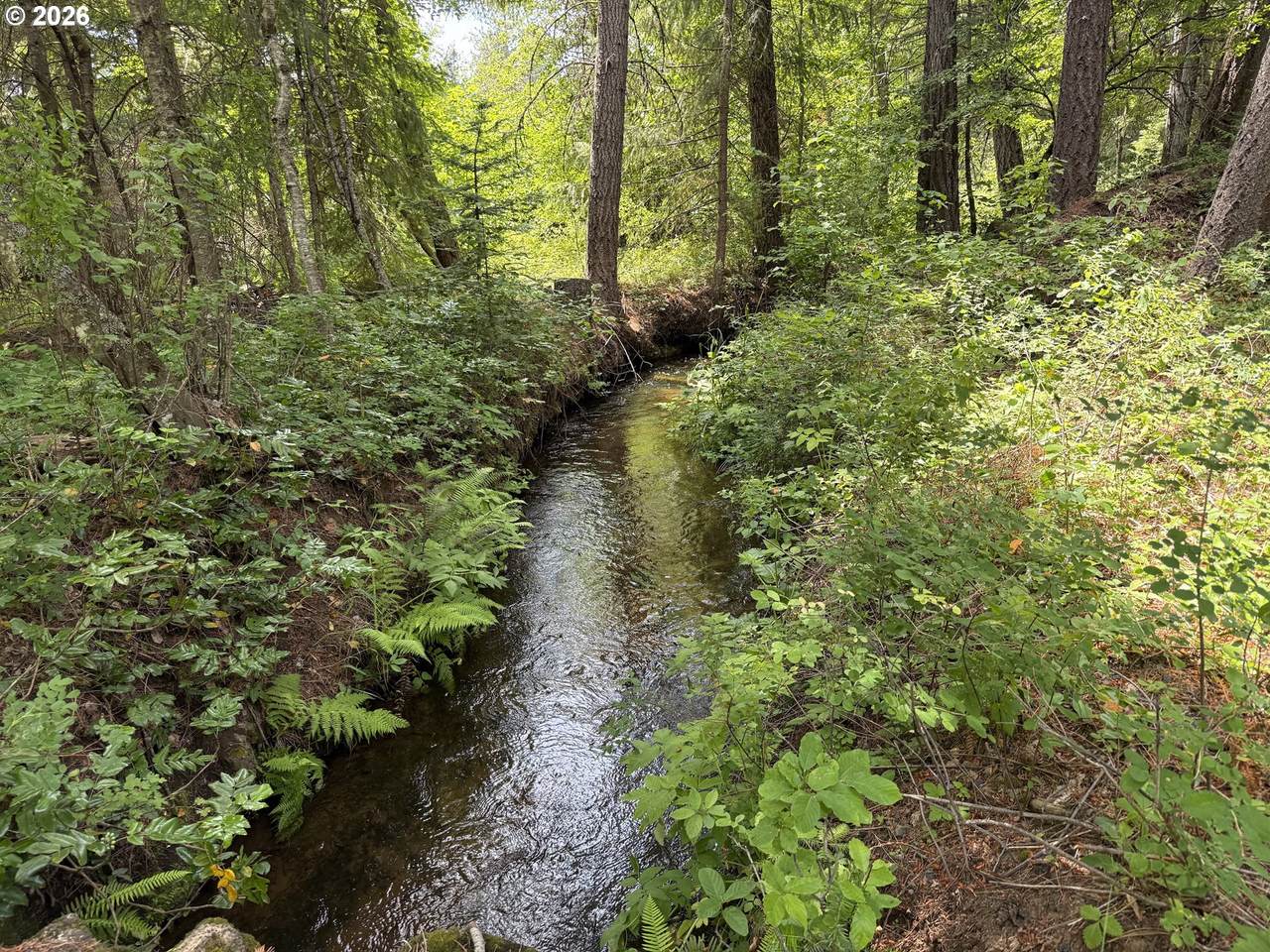 https://bt-photos.global.ssl.fastly.net/portland/1280_boomver_4_390803327-2.jpg
