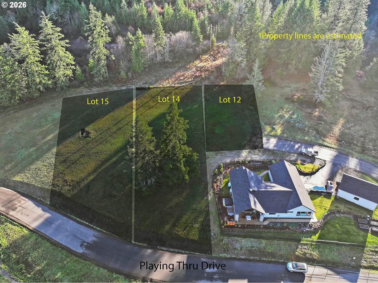  Lot 12 Husum Greens - Photo 1