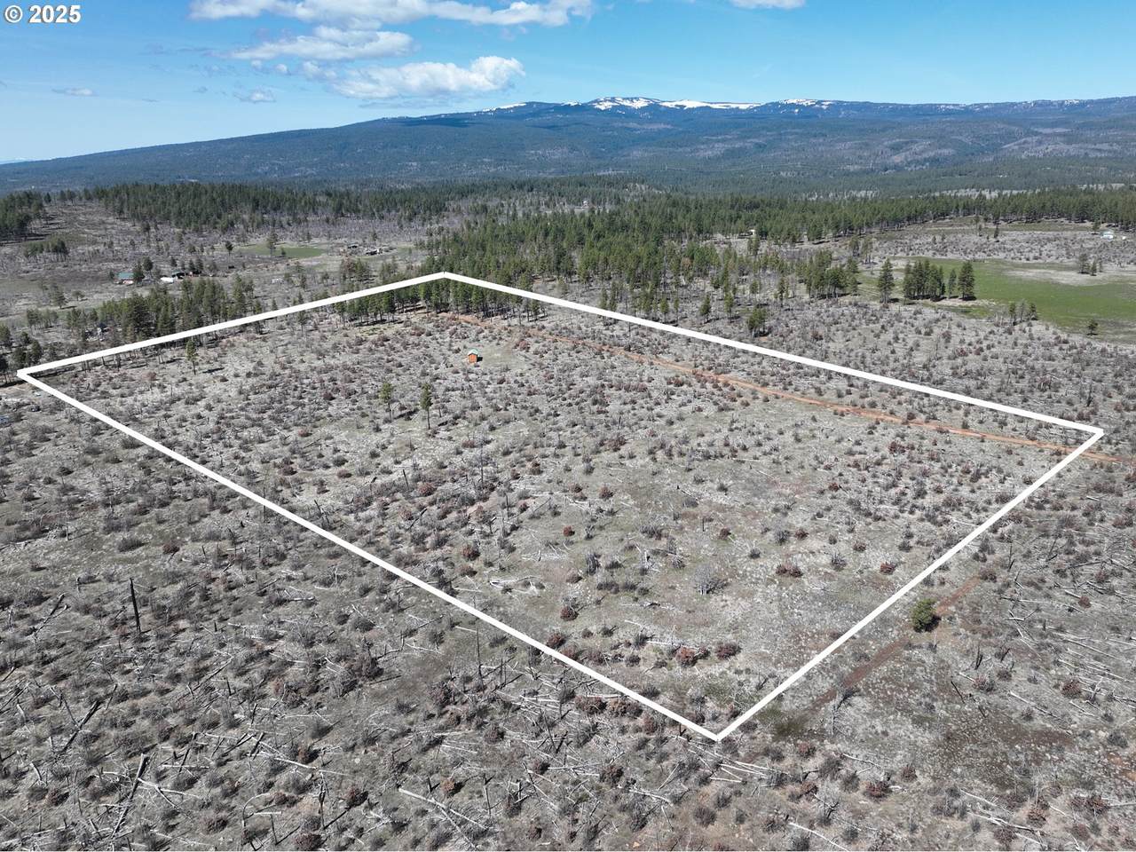 15 Sutherlain Tr - Photo 1