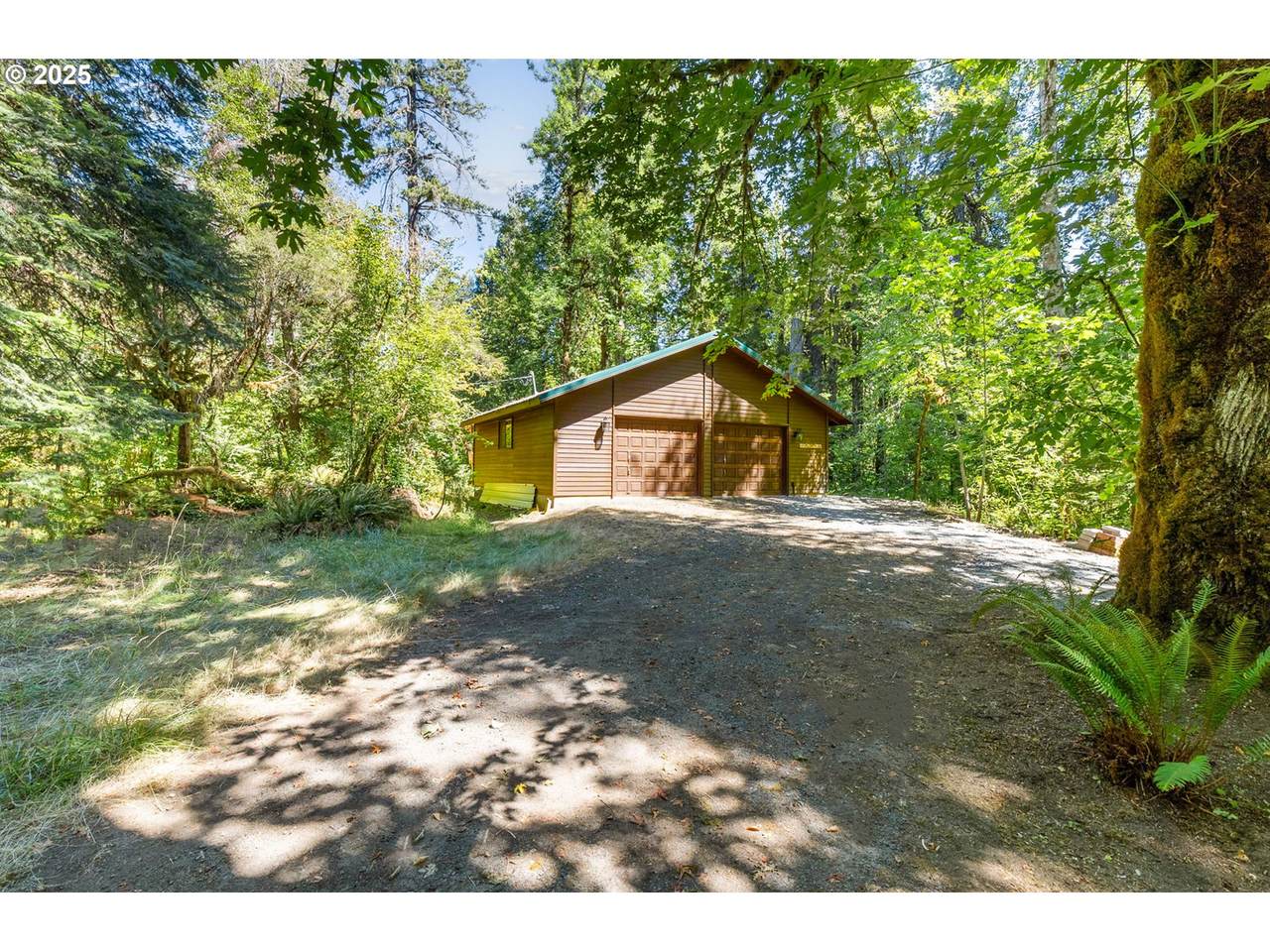  Mckenzie River Dr - Photo 1