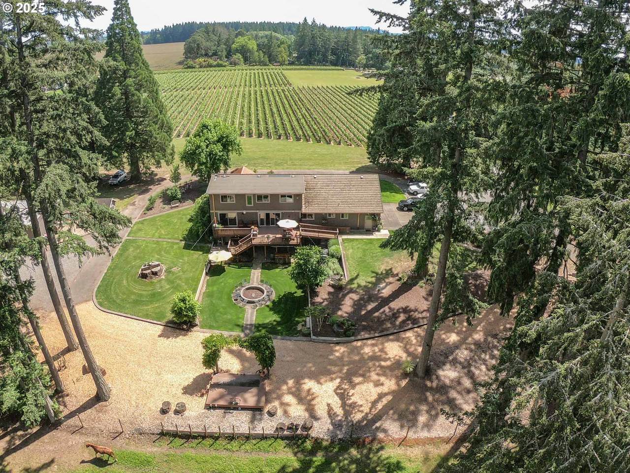 30125 Scotch Church Rd - Photo 1