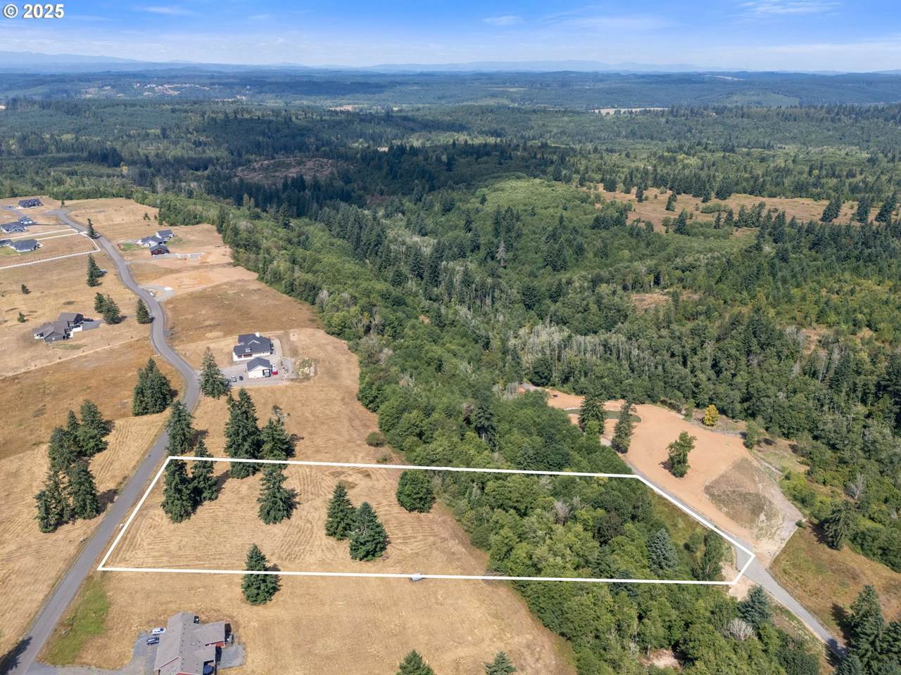 142 Birchfield Commons - Photo 1