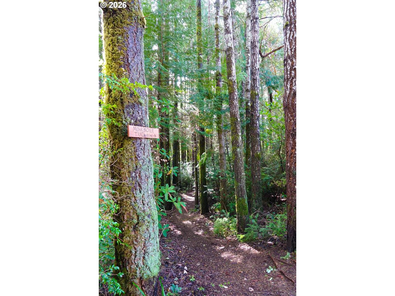 https://bt-photos.global.ssl.fastly.net/portland/1280_boomver_2_576604322-2.jpg