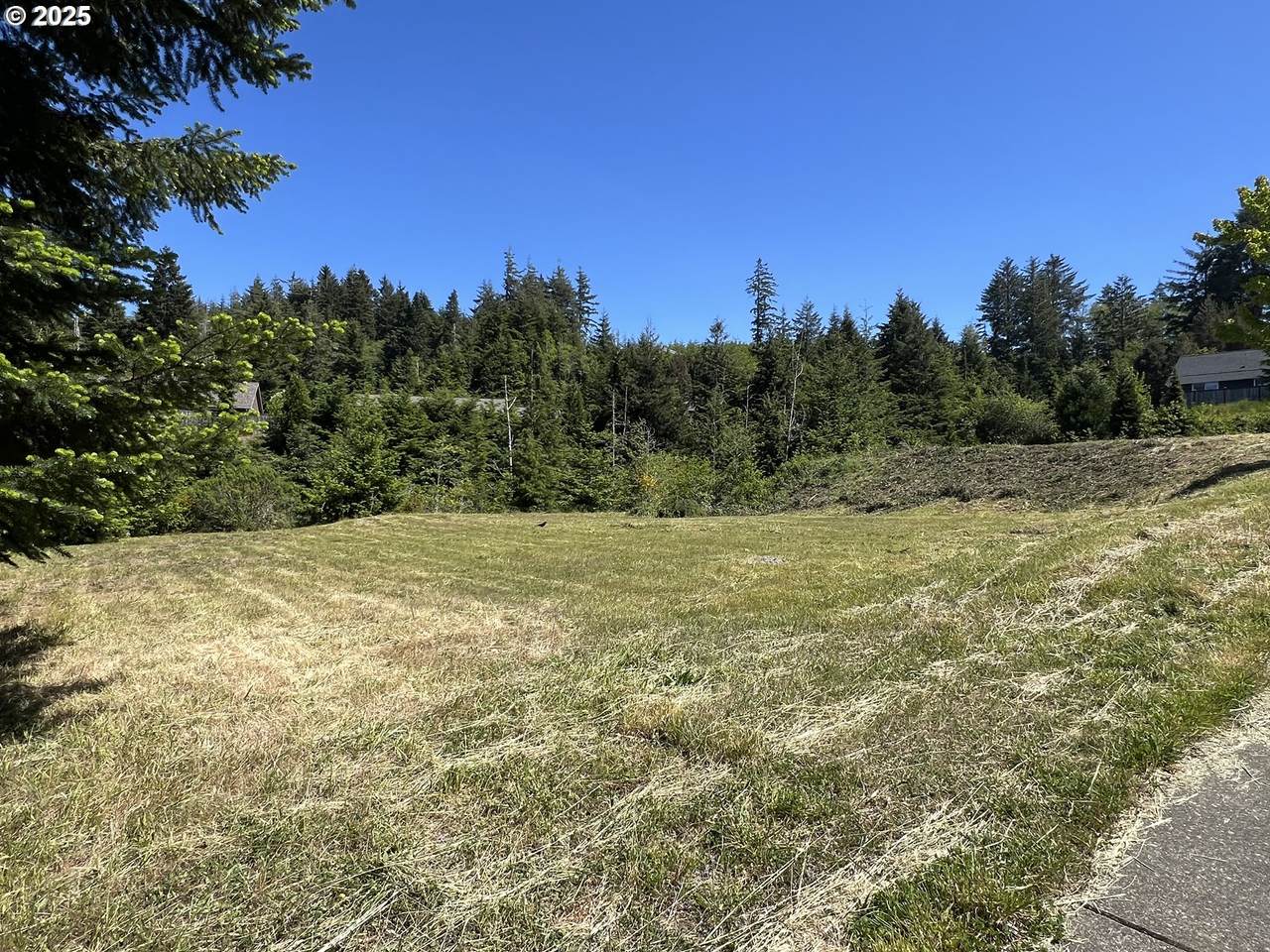 2249 Timberline Dr. - Photo 1