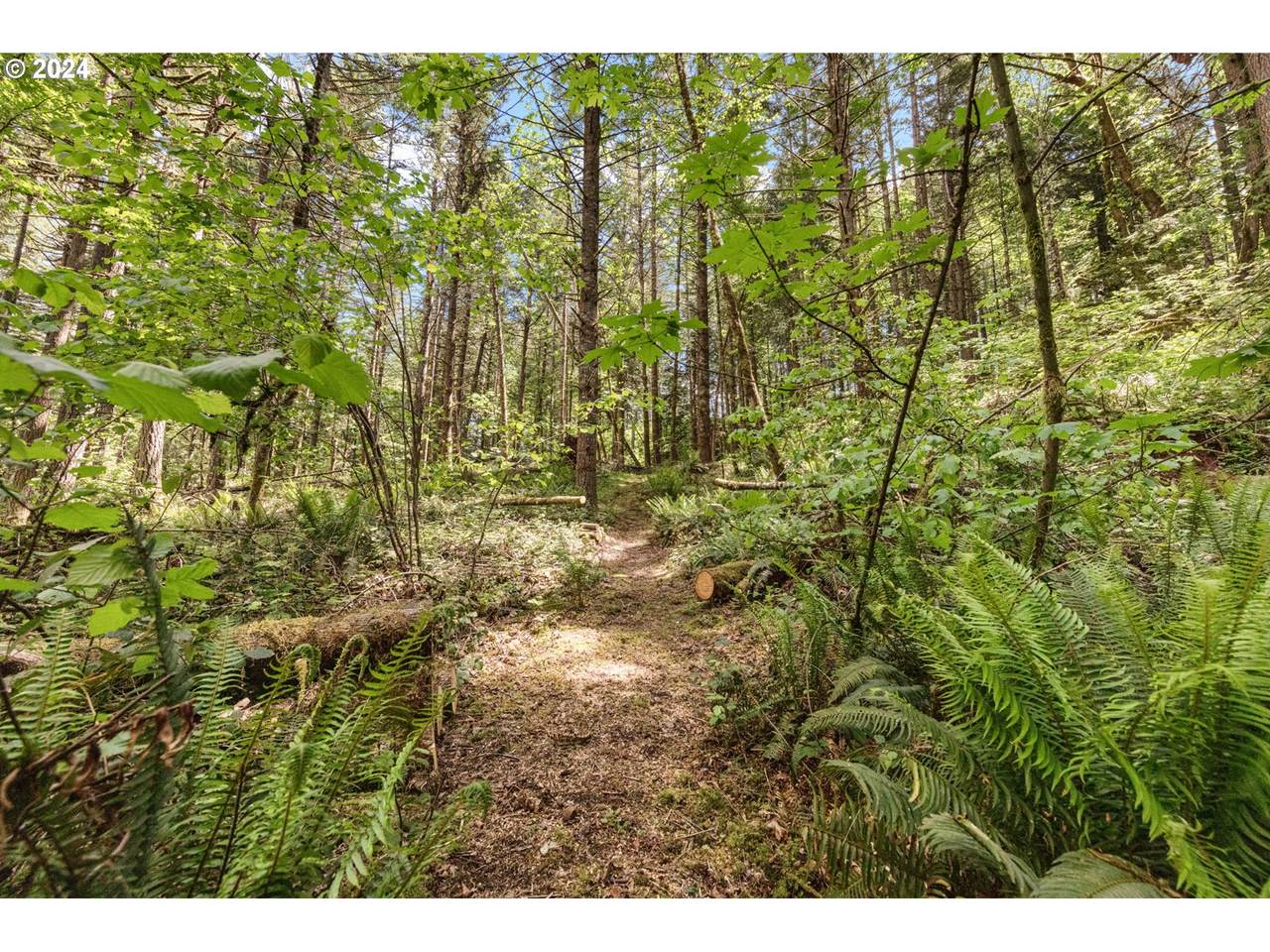 0 Tonga Lane - Photo 1
