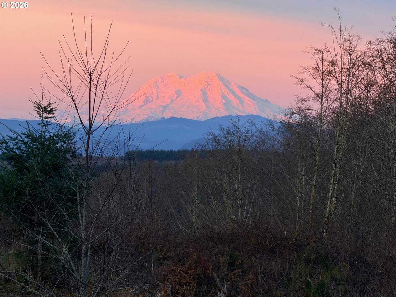 https://bt-photos.global.ssl.fastly.net/portland/1280_boomver_5_525334087-2.jpg