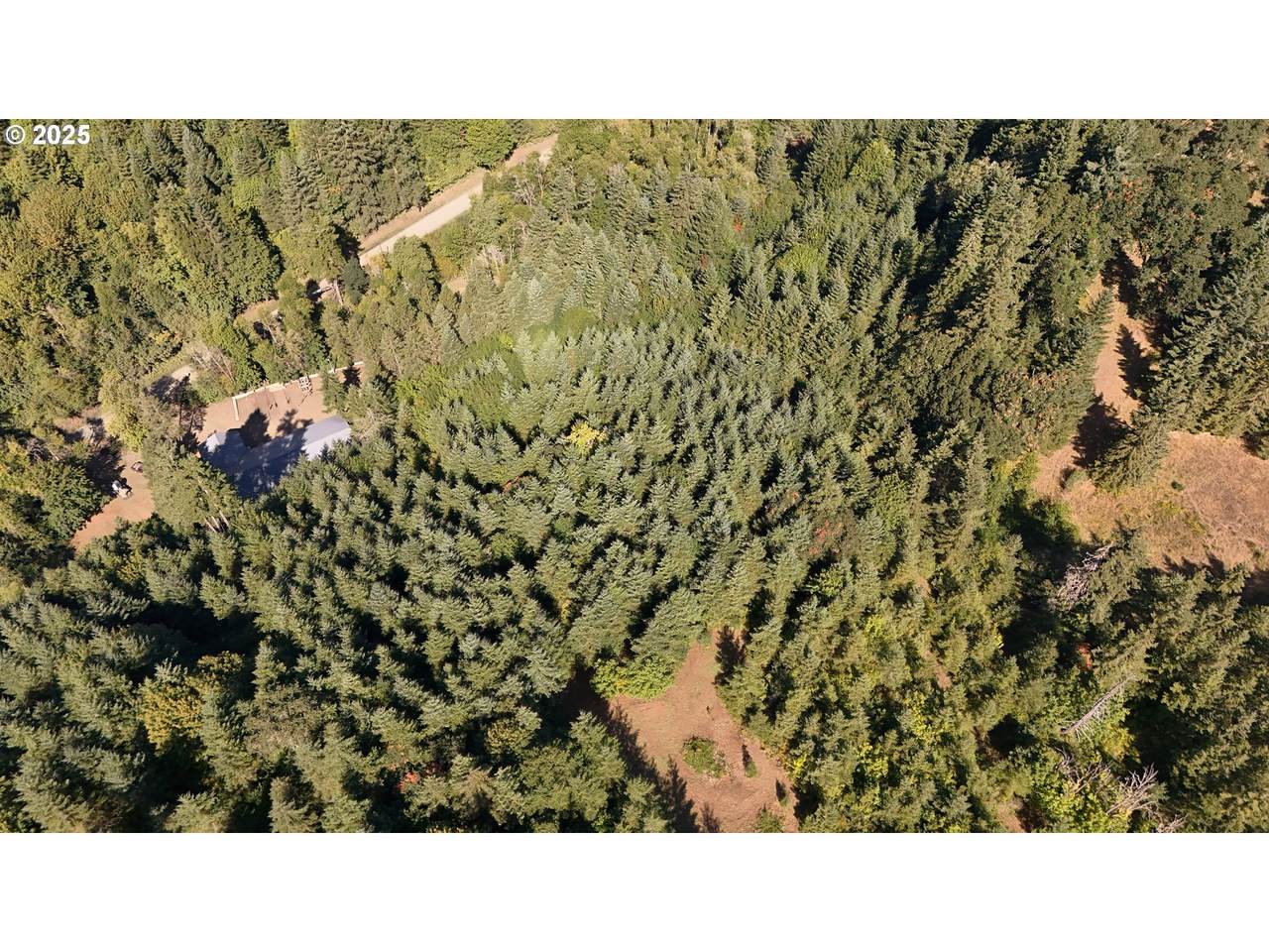 22650 Doane Creek Rd - Photo 1