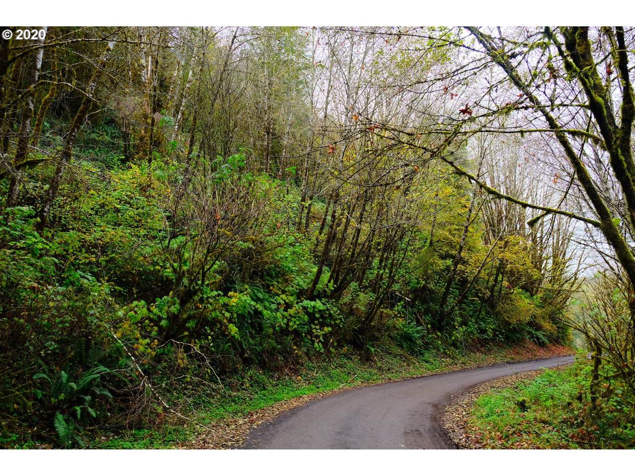 0 Lake Rd - Photo 1