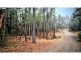 2100 Saratoga Way - Photo 7