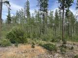 5 Greyback Mtn Rd - Photo 1