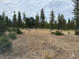 5 Greyback Mtn Rd - Photo 3