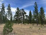5 Greyback Mtn Rd - Photo 4